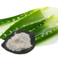 Aloe Vera Gel Freeze getrocknetes Extraktpulver